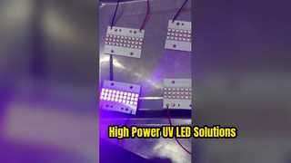 UV LEIDENE Module
